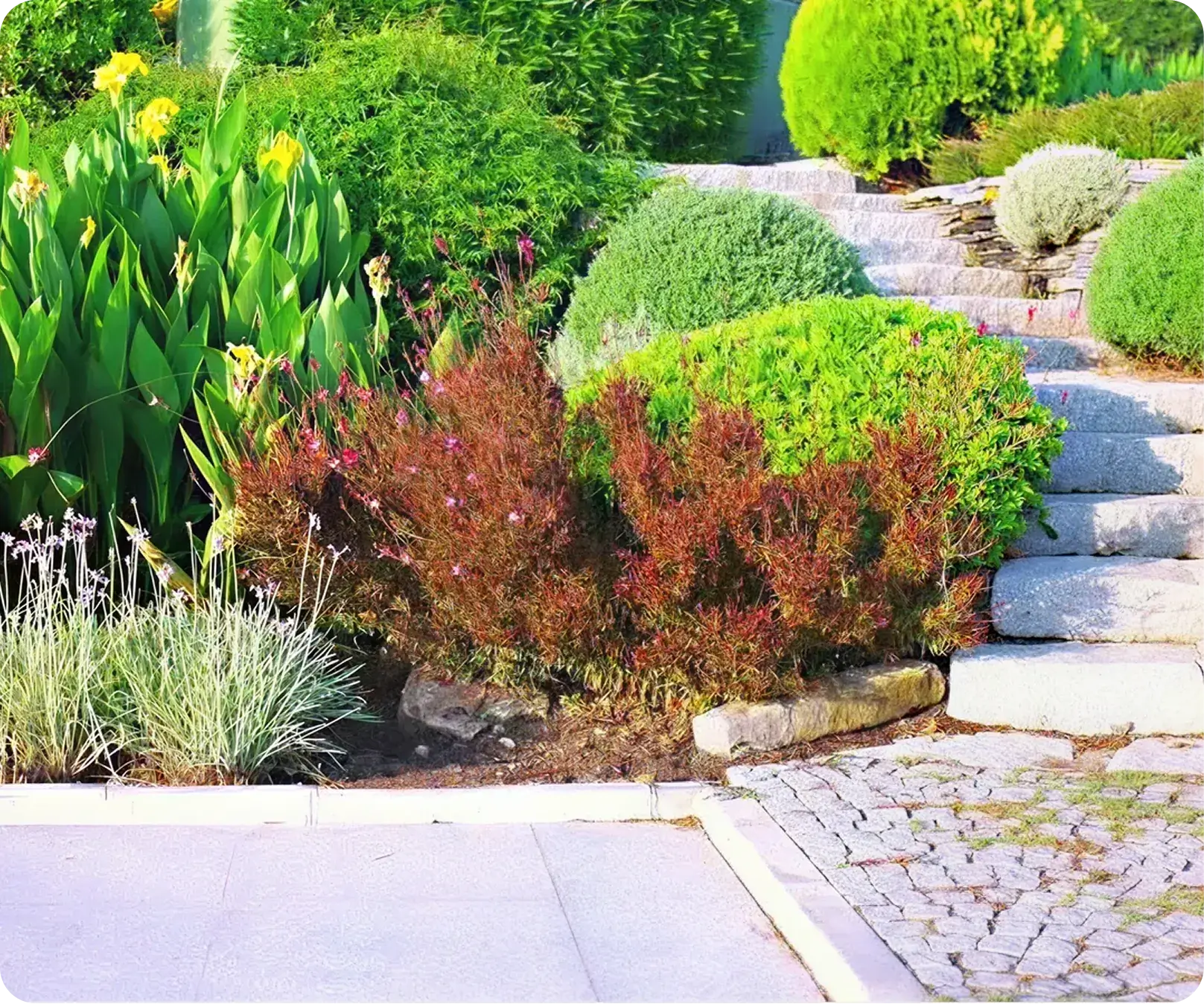 C27 - Landscaping Contractor/class-C27 contractors license course