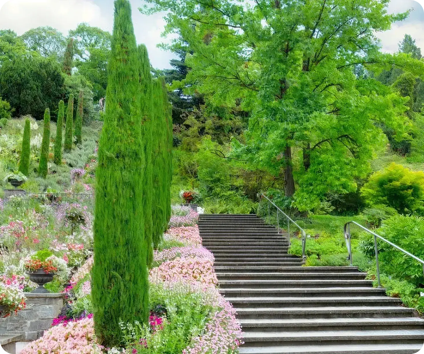 Licensing application assistance