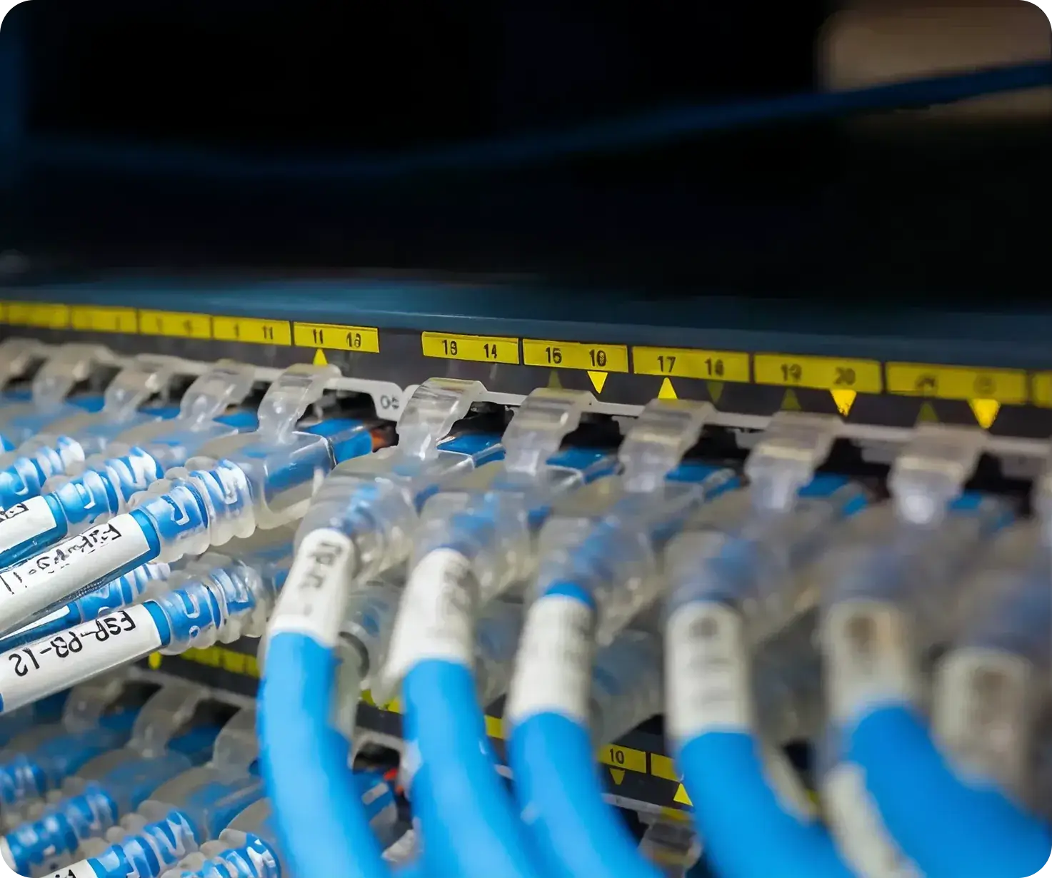 Licensing application assistance